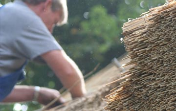 professional Boldmere thatchers